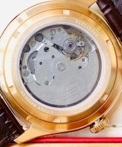 347435314 278136534656005 7937131291352061645 n