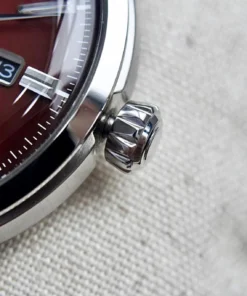 CITIZEN NK0000-95W LIMITED 5 363364407 10160871469897070 6751489467488142255 n