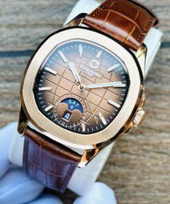 CARNIVAL 8113G-VH-DD-N 2 401832823 3613520195632698 7662842361969176732 n