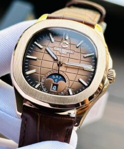 CARNIVAL 8113G-VH-DD-N 1 401833968 3613520362299348 8525988978209015240 n