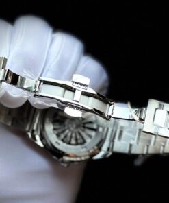 CARNIVAL 8113G2-VT-XL 5 431879606 3691404251177625 8412606083103339818 n