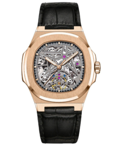 CARRNIVAL - 8118G-VH-DD-T