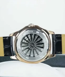 Carnival 8113G-VH-DD-D 1 dong ho nam i w carnival 8113g vh dd d mau den vang hong 664d74cb0c072 22052024113003